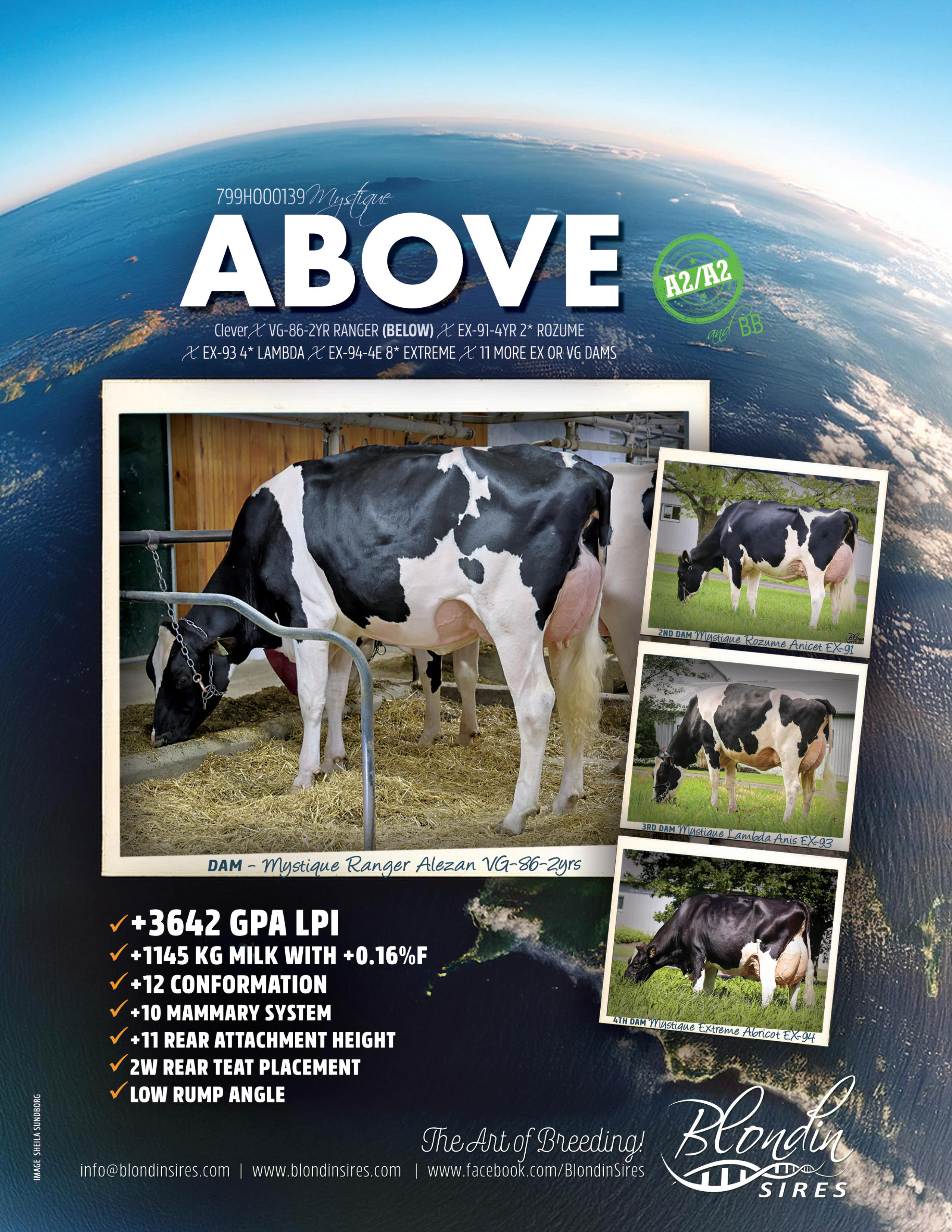 ABOVE — 799HO00139